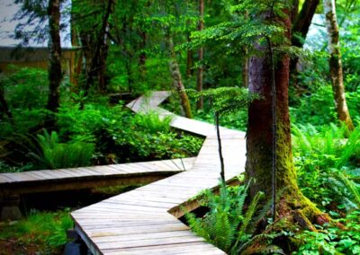 alberta campgrounds | hiking trail in green forest
